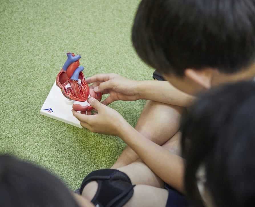 地域の活性化 | Edwards Lifesciences